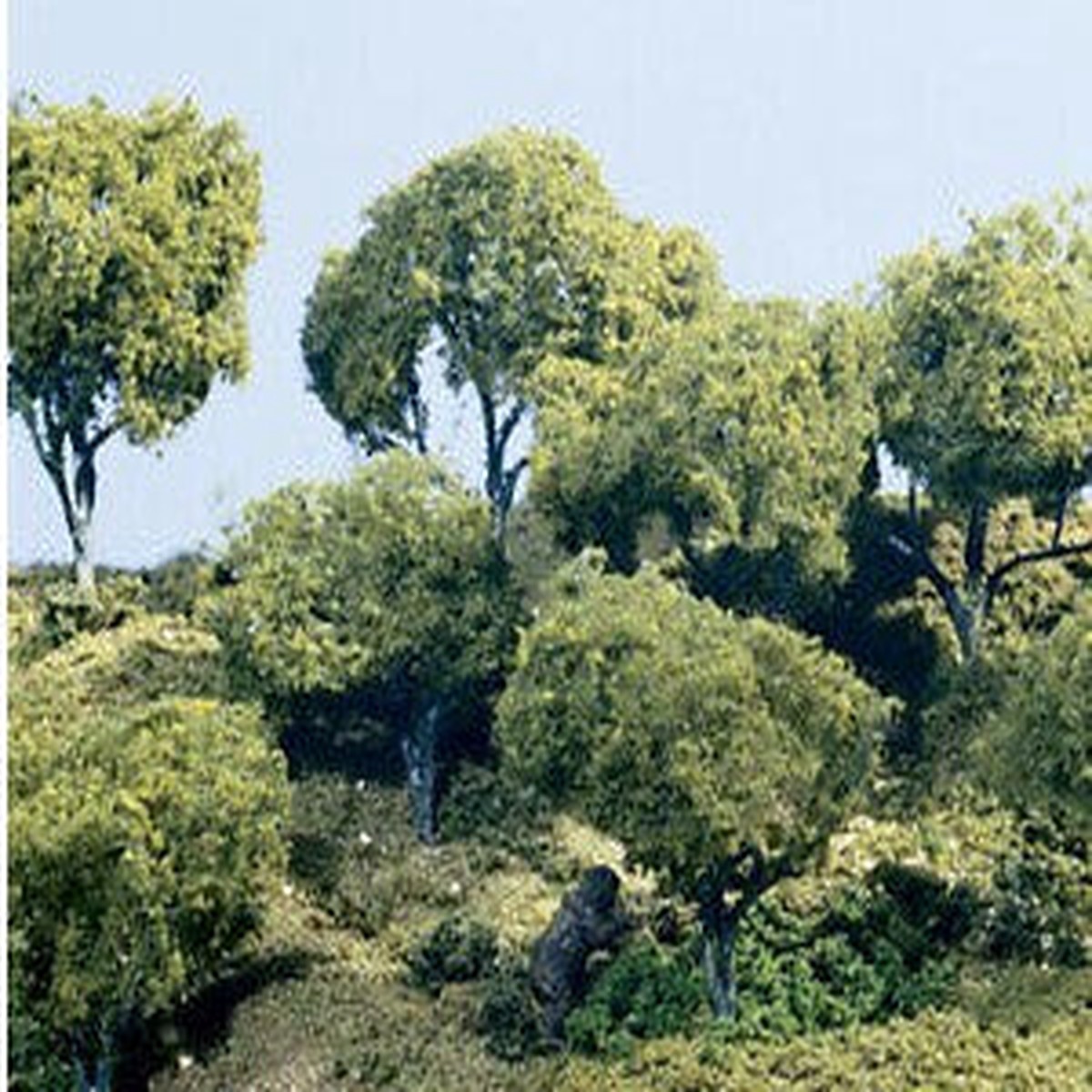 Woodland Scenics TK25 Three Hardwood Trees 5 1/2-6 1/2 Inches Tall