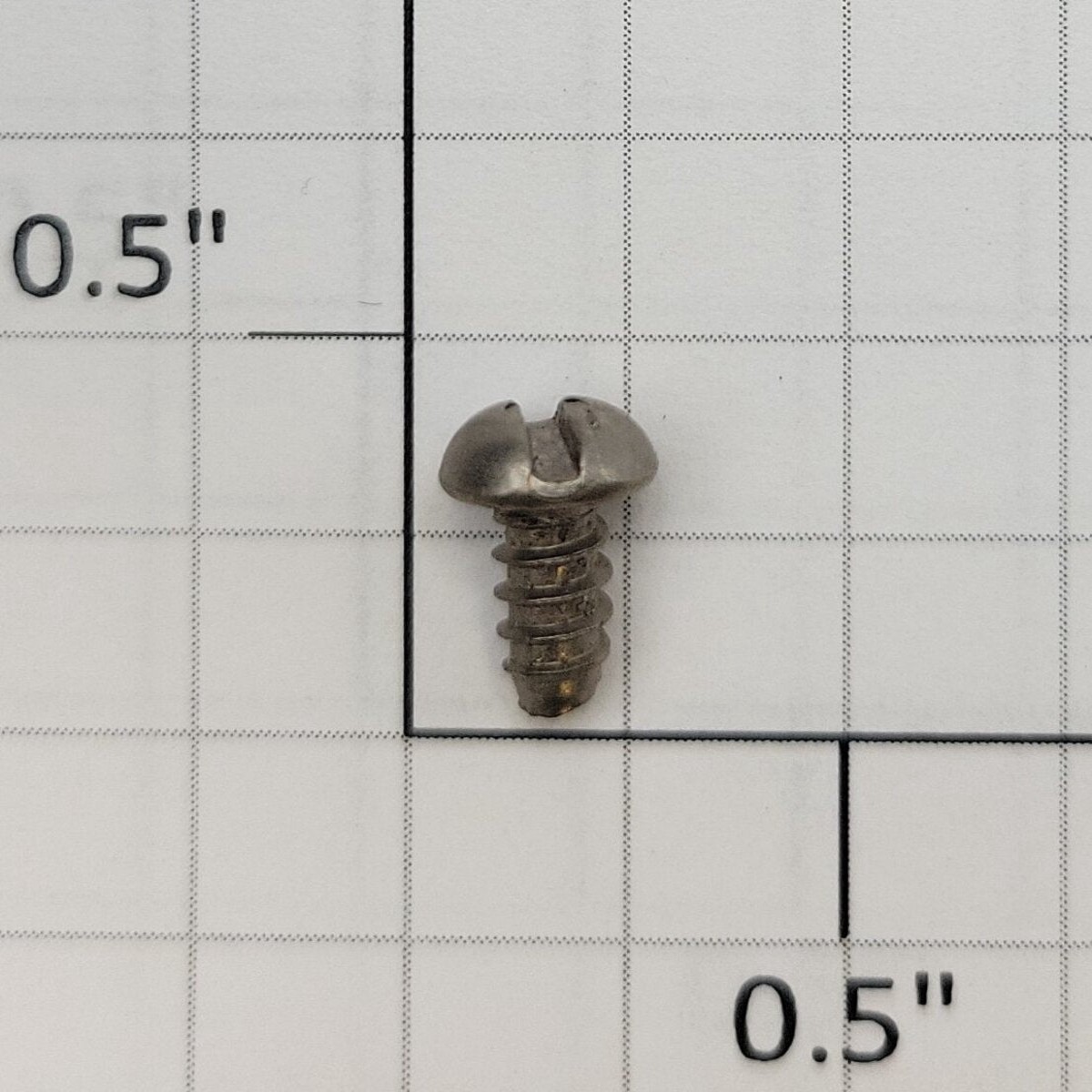 Acme #6 x 5/16" Slotted Round Head Self Tapping Screw